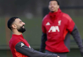 wp header logo1765288807794820101