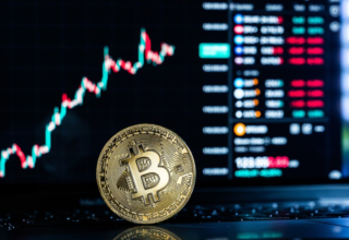 wp header logo17654472071848926030