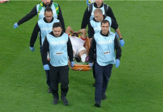 wp header logo17655552071406947551