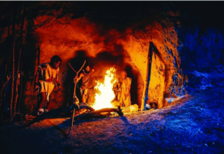 wp header logo17656200601965606449