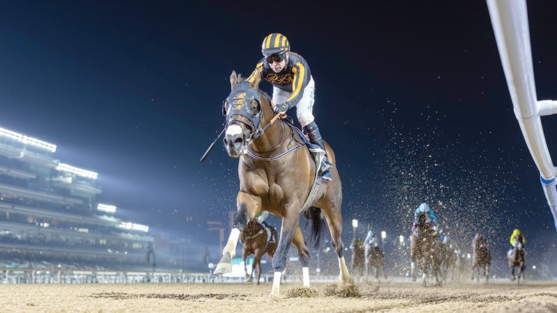 wp header logo17656740062050414236