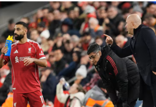 wp header logo17657280111004221053