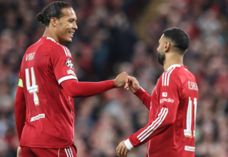 wp header logo17657424081798000645