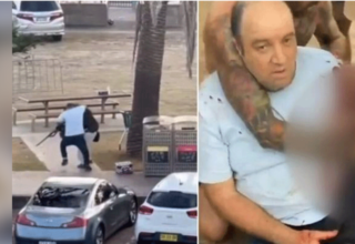 wp header logo17657820631218728298