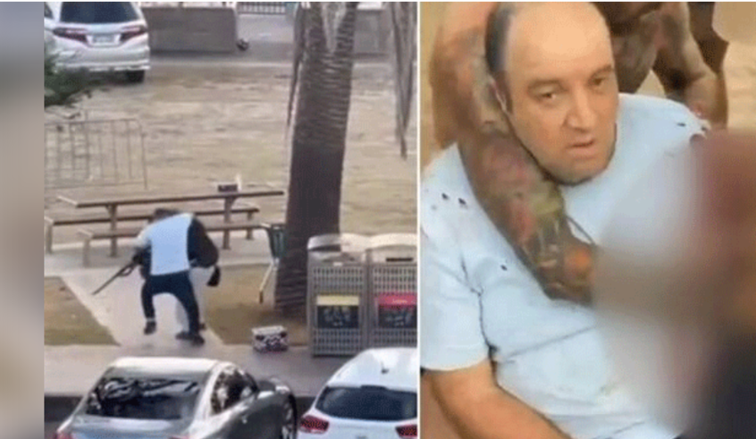 wp header logo17657820631218728298