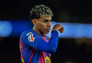 wp header logo176579283394129214