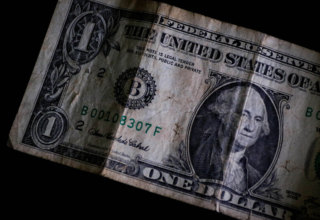 wp header logo17658036071644553120