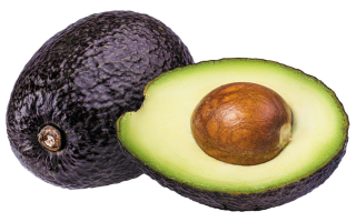 wp header logo17659080162021703344