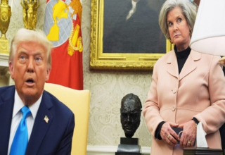 wp header logo17659188071456428647