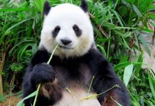 wp header logo17659440051161162823