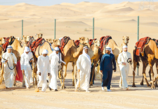 wp header logo1766019614144287133