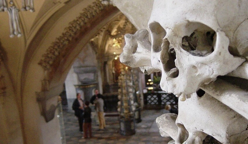 wp header logo17660412071487562064