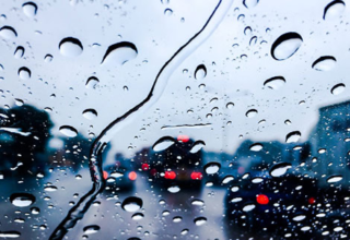 wp header logo1766062847555045024