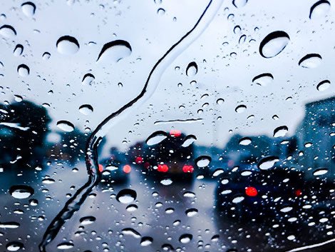 wp header logo1766062847555045024