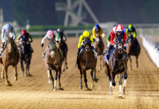 wp header logo17661060051299103737