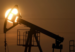 wp header logo1766131234636711126