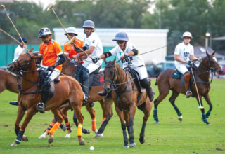 wp header logo1766192439603302141