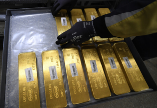 wp header logo17662248061849064955