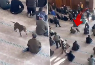 wp header logo17662392061865000509