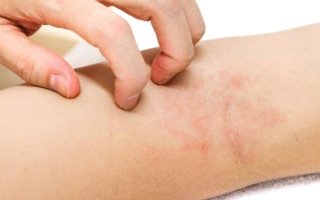 wp header logo17662788461631207907