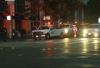 wp header logo17663004411310697259