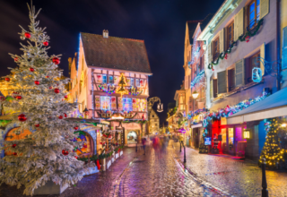 wp header logo17663076311258093954