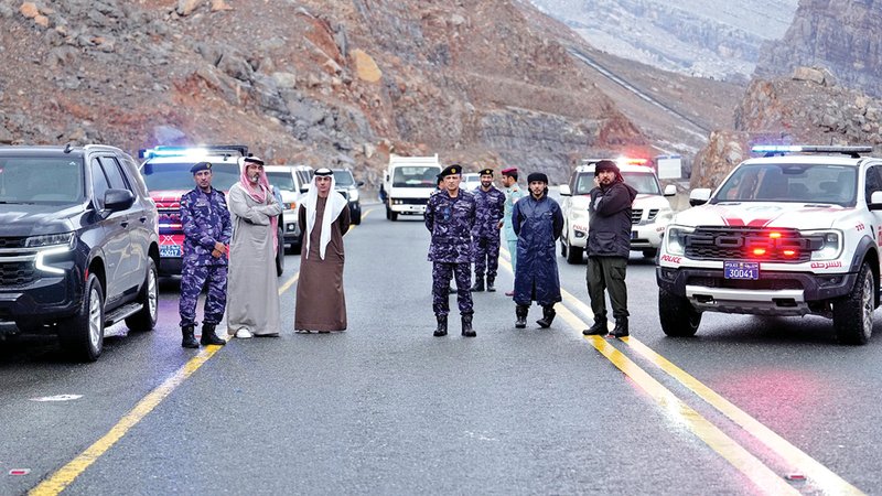 wp header logo17663652411055022227