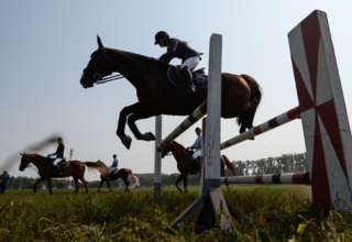 wp header logo17664156261351671550