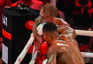 wp header logo1766480407857620200