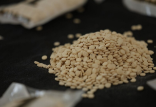 wp header logo17664948261992693737