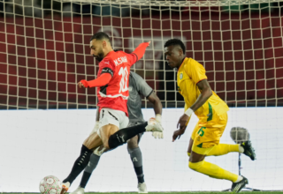 wp header logo17665236071555682926