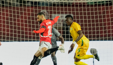 wp header logo17665236071555682926