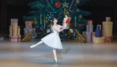 wp header logo17665272061507631631