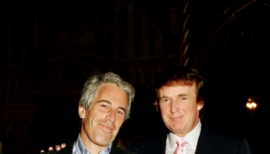 wp header logo1766527222136463298