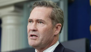 wp header logo1766530917635925819