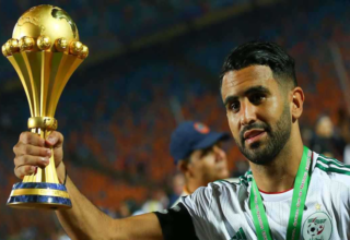 wp header logo176658120794026609