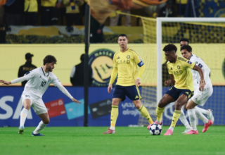 wp header logo17666064071498213704