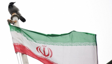 wp header logo17666065071137724953