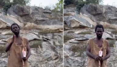 wp header logo1766678447720353105