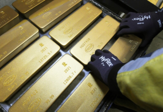 wp header logo1766736009419665480