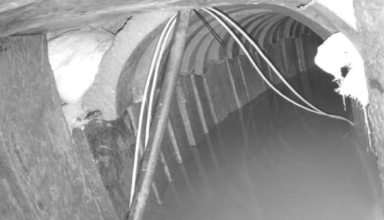 wp header logo17667360362027704511