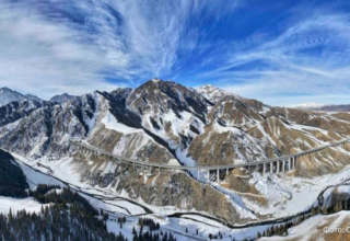 wp header logo17667432091126584638