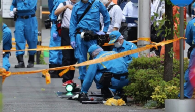 wp header logo17667504661831236975