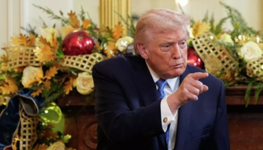 wp header logo17667648571738327858