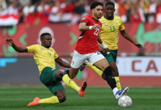 wp header logo17667720051647862833