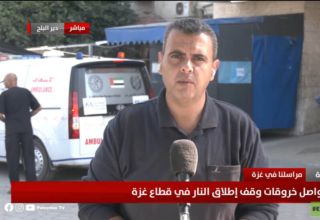 wp header logo17667828371948716706