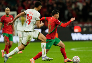 wp header logo17667900071249686540