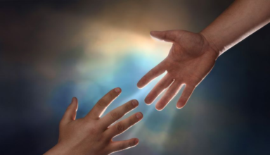 wp header logo17668044371928490045