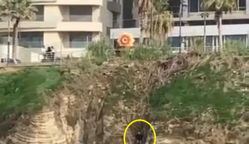 wp header logo17668476101453048354