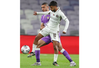 wp header logo17668836361504901796